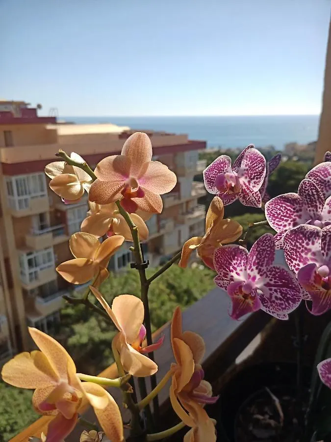 Sweet Home Benalmadena, Estudio Con Vistas Al Mar Y Excelente Conexion Wifi, Para No Fumadores, Con Piscinas, Sea Views, With Swimming Pools, Completely Renovated, Ideal For Older People, Bright With Morning Sun, No Smoking 0*,